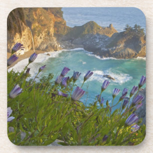 Scenic McWay Falls tumbles into the beach and Coaster
