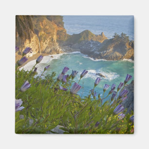 Scenic McWay Falls tumbles into the beach and Magnet