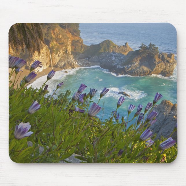 Scenic McWay Falls tumbles into the beach and Mouse Mat (Front)