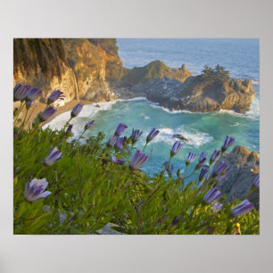 Scenic McWay Falls tumbles into the beach and Poster