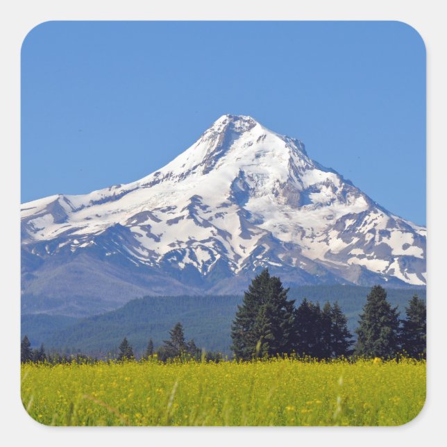 Scenic Mt Hood Coffee  Square Sticker (Front)