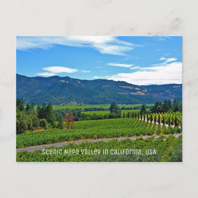 Scenic Napa Valley in California Postcard (Front)