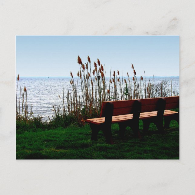 Scenic Ocean Bay View Postcard (Front)