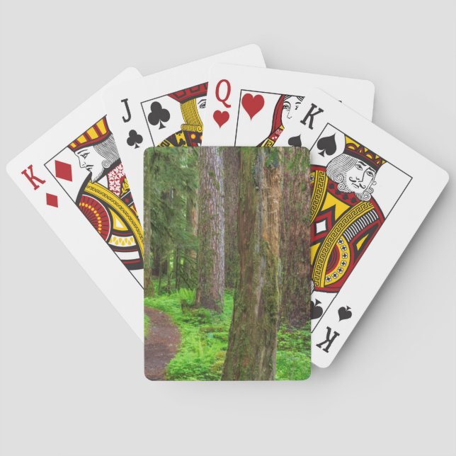 Scenic of old growth forest playing cards (Back)