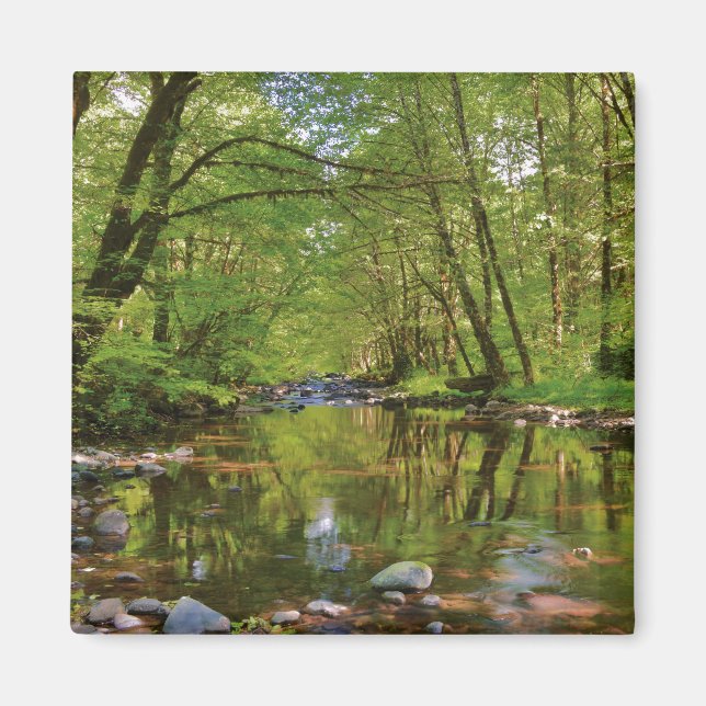 Scenic of Wilson River Magnet (Front)