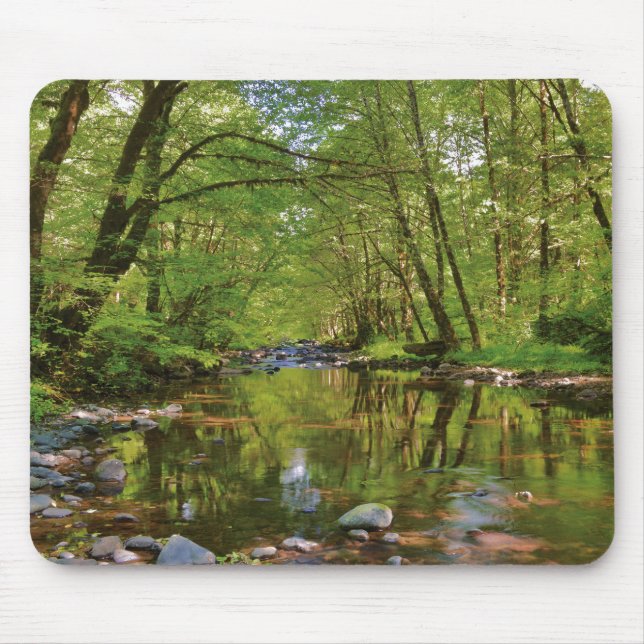 Scenic of Wilson River Mouse Mat (Front)