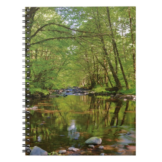 Scenic of Wilson River Notebook (Front)