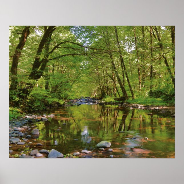 Scenic of Wilson River Poster (Front)