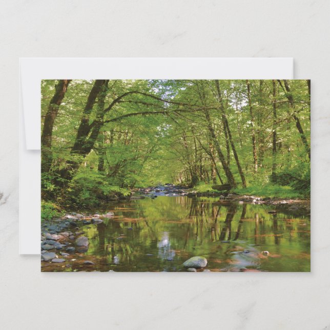 Scenic of Wilson River Thank You Card (Front)