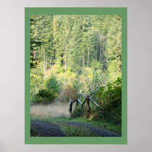 Scenic Oregon Forest Trees Country Photography Poster