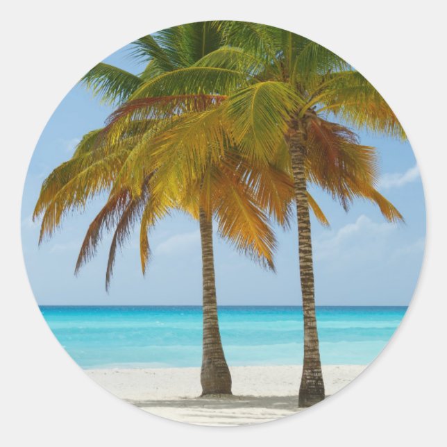 Scenic Palm Trees on a Tropical Beach Classic Round Sticker (Front)