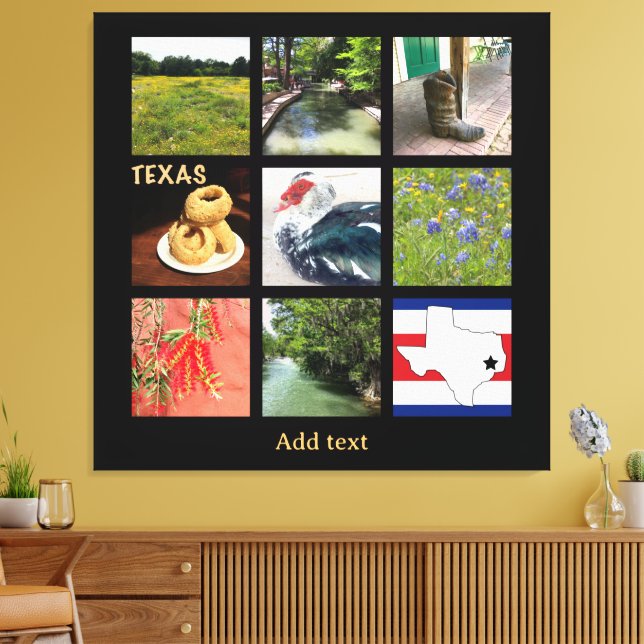Scenic Photos of Texas Canvas Print (Insitu(LivingRoom))