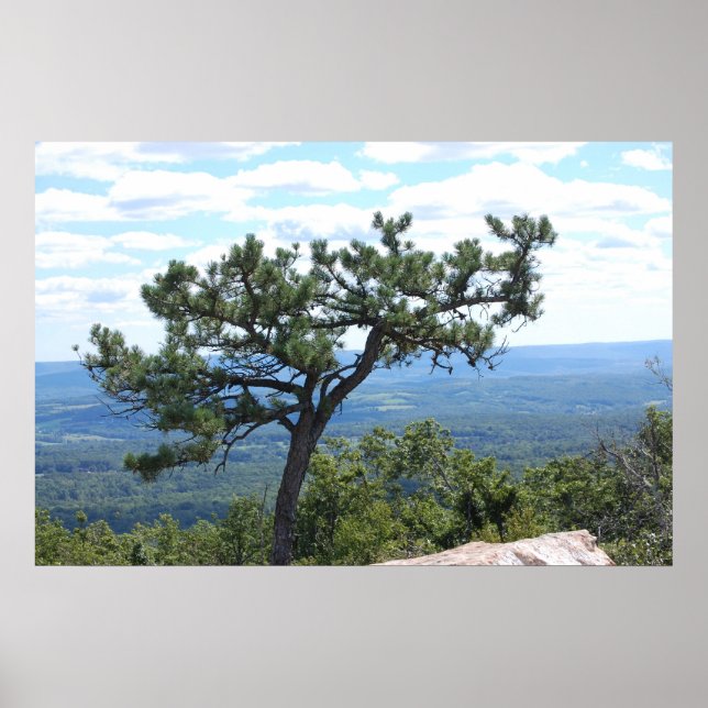 Scenic Poster (Front)