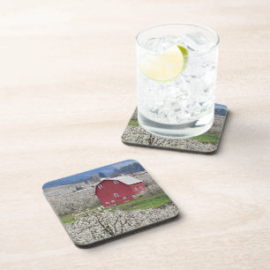 Scenic Red Barn and Pear Blossoms Coaster