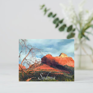 Scenic Red Rocks of Sedona Postcard