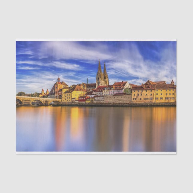 Scenic Regensburg River View   Tissue Paper (Front)
