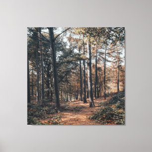 Scenic relaxing forest canvas print