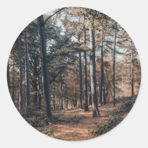 Scenic relaxing forest classic round sticker