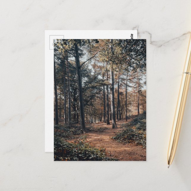 Scenic relaxing forest postcard (Front/Back In Situ)