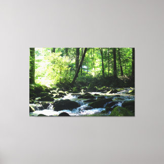 Scenic River Canvas Print