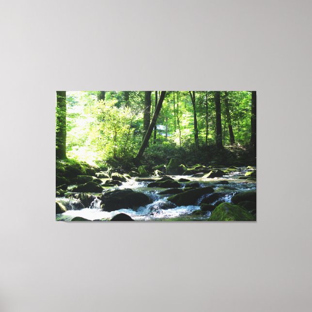 Scenic River Canvas Print (Front)