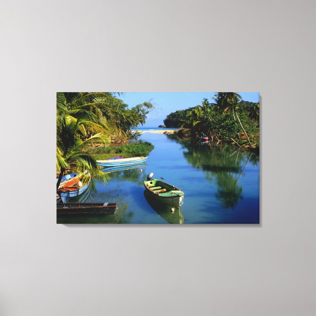Scenic river near Ocho Rios in Jamaica Canvas Print (Front)