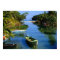 Scenic river near Ocho Rios in Jamaica
