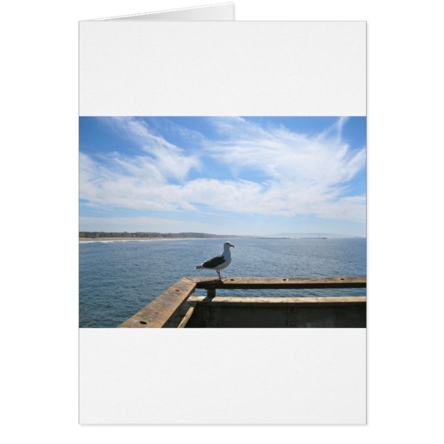 Scenic Seagull Card (Front)