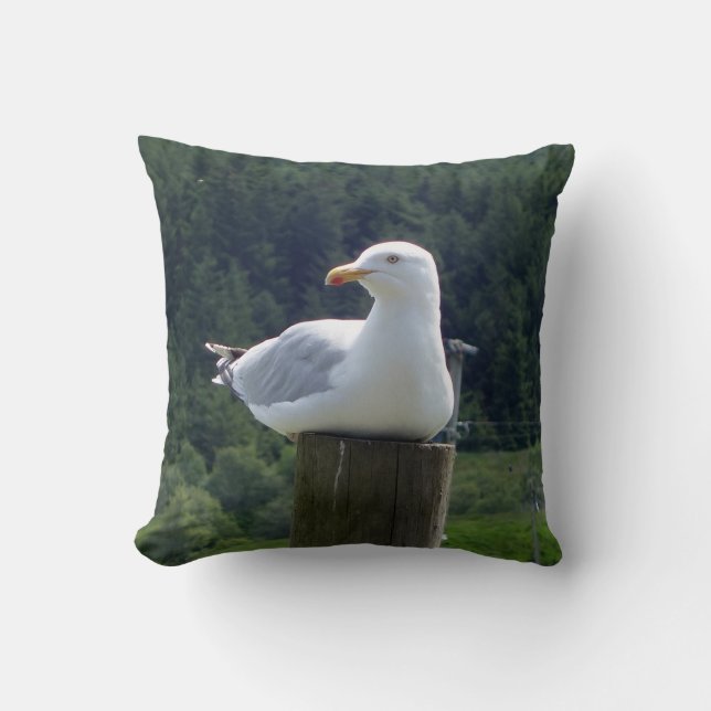 Scenic Seaside Gull Resting With Forest Backdrop  Cushion (Front)