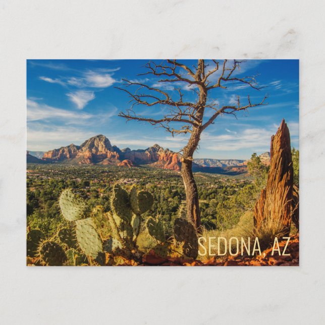 Scenic Sedona Arizona Desert Postcard with Cactus (Front)