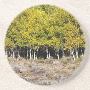 Scenic Series---Aspen Grove Coaster
