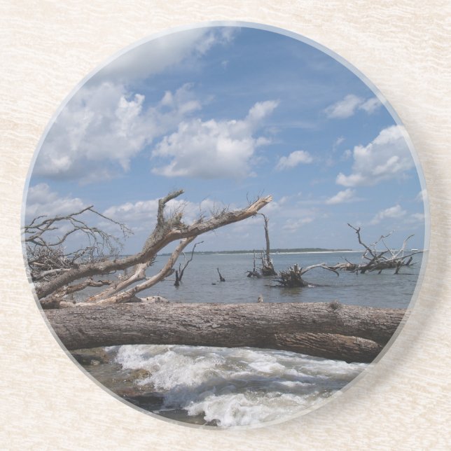 Scenic Series---Driftwood Coaster (Front)