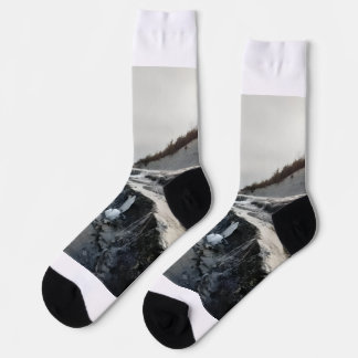 Scenic Socks