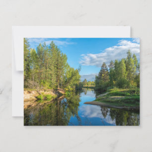 Scenic stream through the trees countryside postcard