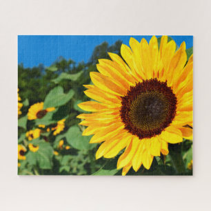 Scenic Sunflower Nature Theme Jigsaw Puzzle