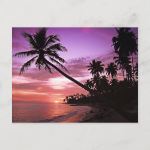 Scenic Sunset Postcard