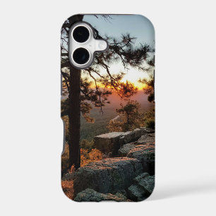Scenic Sunset View / Pine Trees / Mogollon Rim, AZ