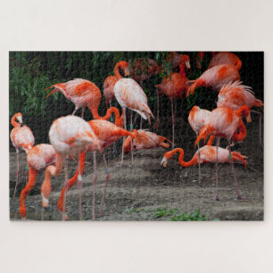 Scenic Tropical Landscape Flamingo Jigsaw Puzzle