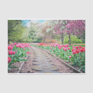 Scenic Tulip Path Tissue Paper