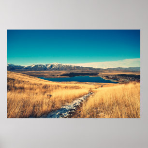 Scenic view in Mt. John summit view point,  Lake T Poster