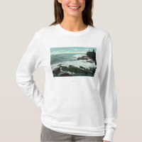 Scenic View of Cape Cottage of the Rocky Shore