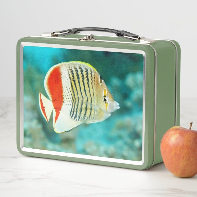 Scenic View of Fish Underwater in the Red Sea Metal Lunch Box (In Situ)