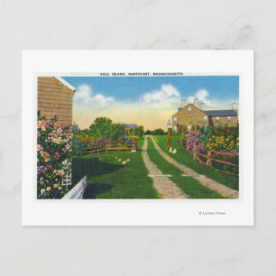 Scenic View of Gull Island Postcard