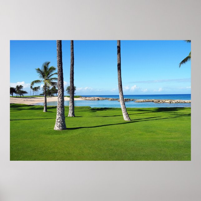 Scenic View of Hawaiian Lagoon Poster (Front)