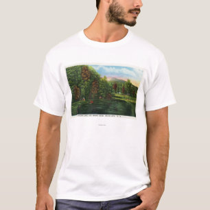 Scenic View of Shadow Lake and Indian Head T-Shirt