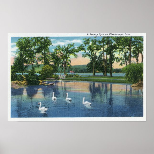 Scenic View of Swans on the Lake Poster (Front)