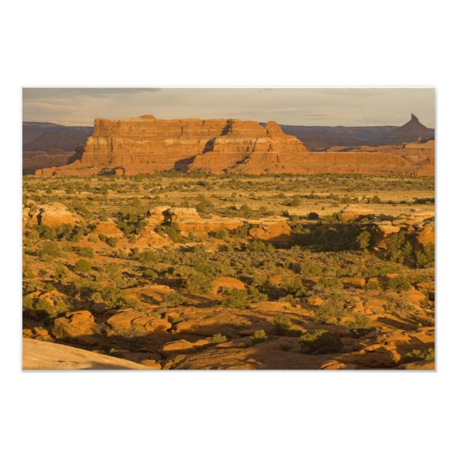 Scenic winter desert landscape on the way into 2 photo print (Front)