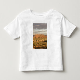 Scenic winter desert landscape on the way into toddler T-Shirt