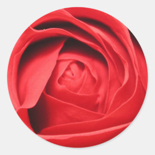 Scent of a Rose Classic Round Sticker