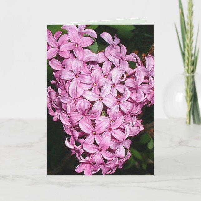 Scent of LIlacs Card (Front)